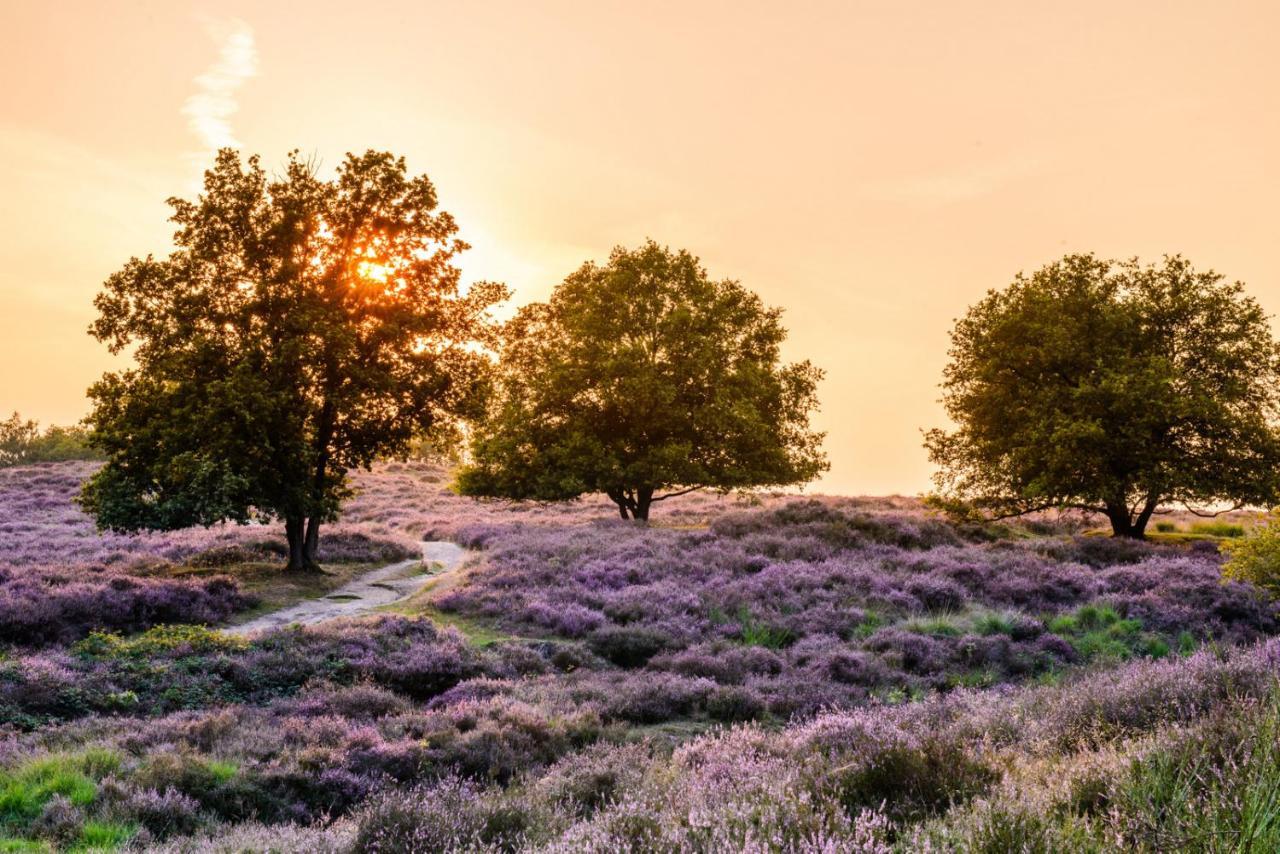 Vakantie Bij Meeussen - Schuttersoord Mook エクステリア 写真